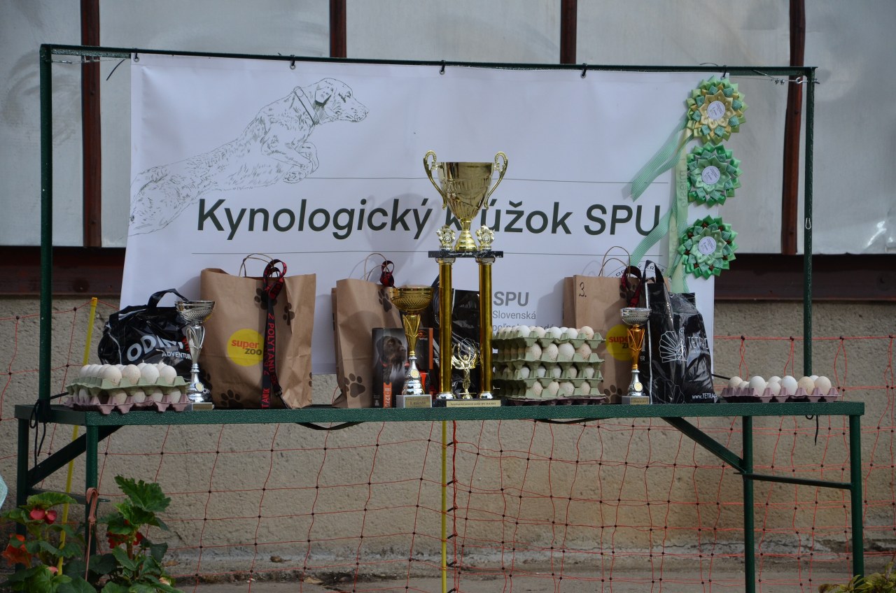 DSC_0704_1280x848.jpg